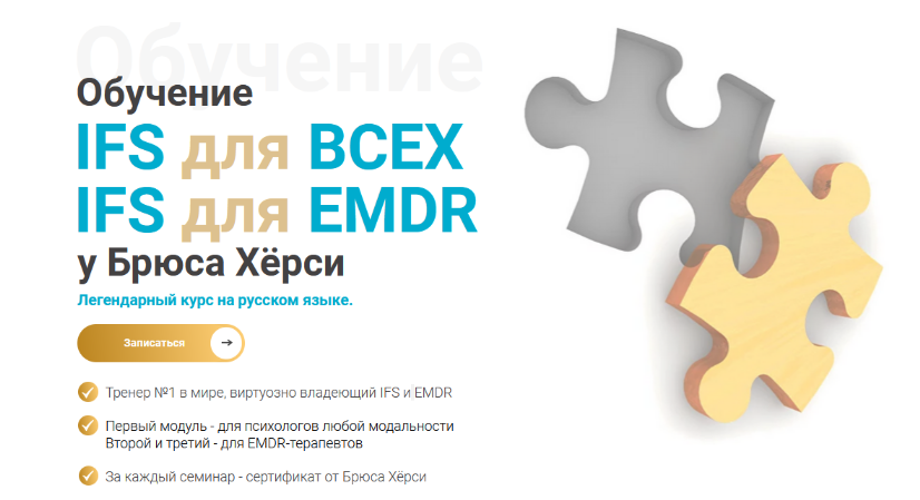 [Брюс Хёрси] Основы терапии внутренних семейных си_0.png